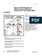 B-Amyloid Disruption of LTP - LTD Balance - Cell Rep - 2021