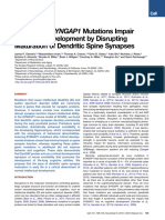 Pathogenic SYNGAP1 Mutations Impair Cognitive Development by Disrupting Maturation of Dendritic Spine Synapses