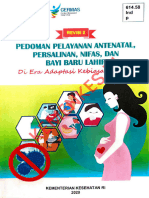 Revisi 2 Pedoman Pelayanan Entenatal, Persalinan, Nifas, Dan Bayi Baru Lahir