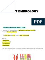 Heart Embrology