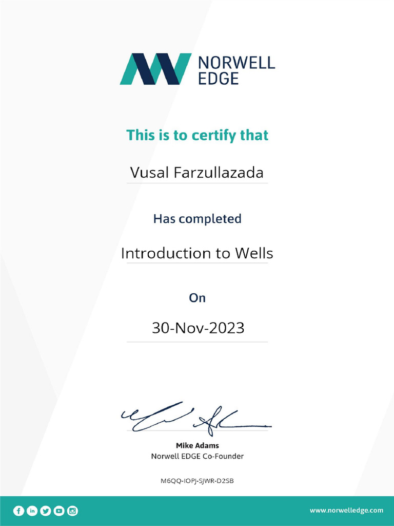 Vusal Farzullazada - Introduction To Wells | PDF