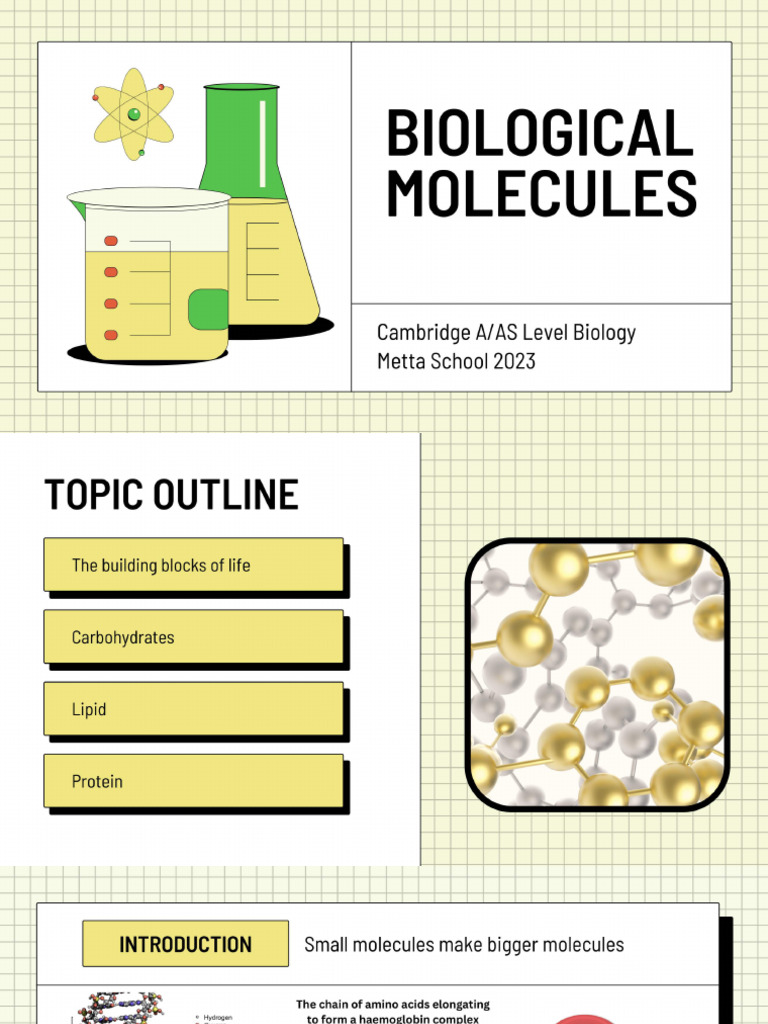 Chapter 2 Biological Molecules (Carbs) PDF