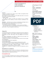 LG04103A Licence Travail, Clinique Du Travail Et Psychologie