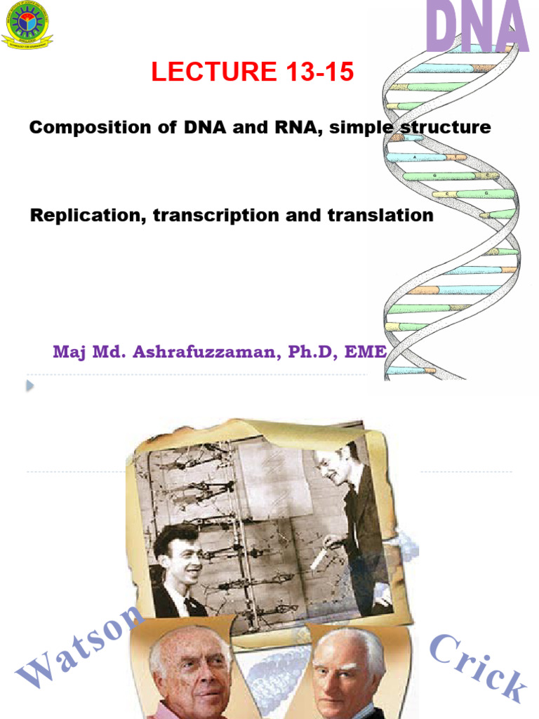 BME 203 - Lecture No. 13-15 | PDF | Dna Replication | Dna