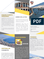 Folleto Brochure de Servicios Empresa Profesional Amarillo