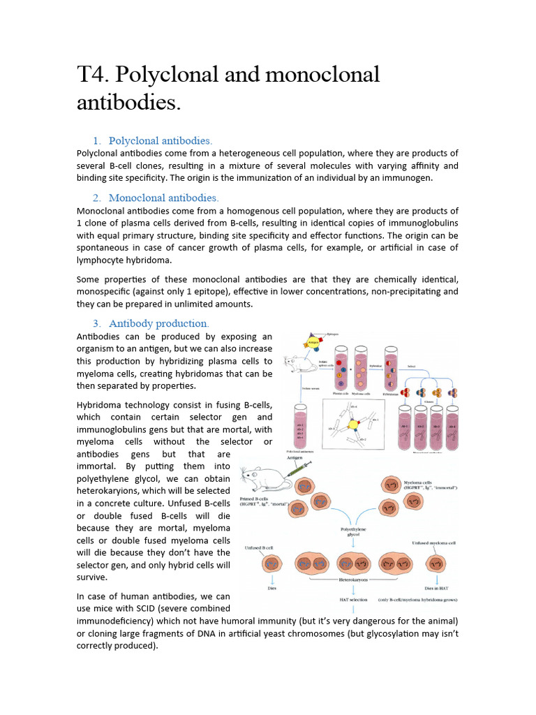 Polyclonal vs Monoclonal Antibodies | PDF | Antibody | Monoclonal Antibody