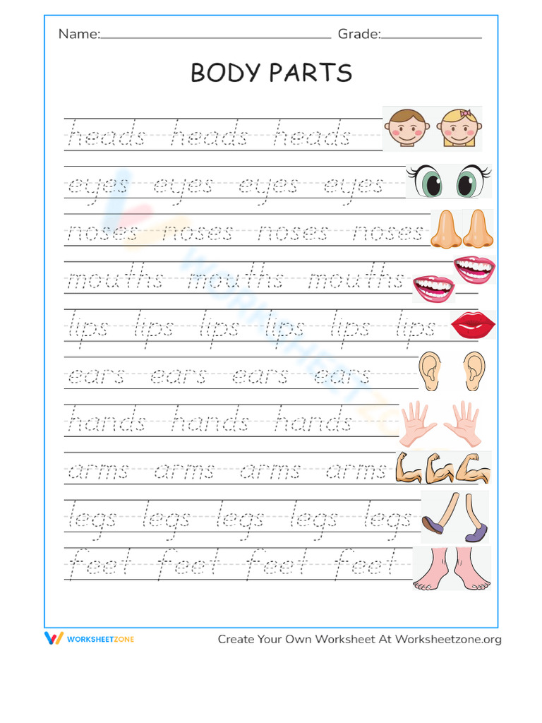 Body Parts PDF