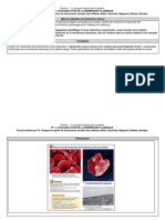 TD 6 th1 Lorganisation de La Membrane Plasmique 1senseignement Scientifique 20222023 Corrige