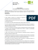 Guia Cadenas de Movimiento y Pliométricos