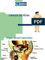 Câncer de Pênis