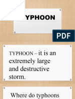 Typhoon Grade 8