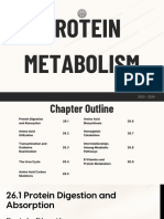 Protein Metabolism