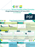 Perkembangan Situasi Penyakit Infeksi Emerging Minggu 29 Tahun 2023