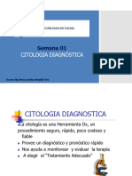 3.citología Diagnostica