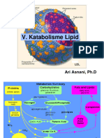 Katabolisme Lipid