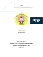 Firman Noor - Tugas Makalah Epidemiologi Penyakit Diare