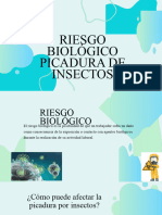 Presentación Riesgo Biológico Picadura Por Insectos