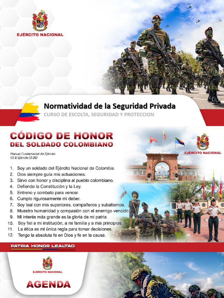 Normatividad Seguridad Privada 2023 | PDF | Vigilancia | Crímenes