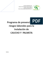 Programa de Prevención de Riesgos Laborales para La Instalación de Caucho y Palmetas