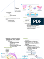 Inflammatory Response Notes