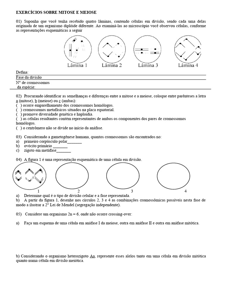 Exercícios de Mitose e Meiose 8º Ano | PDF | Estudos de Línguas ...