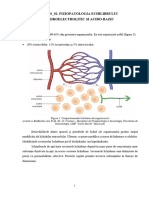 Curs-02 FIZIOPATOLOGIE