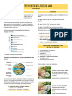 Avicultura - MANEJO DIFERENTES FASES VIDA