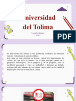 Universidad Del Tolima - L