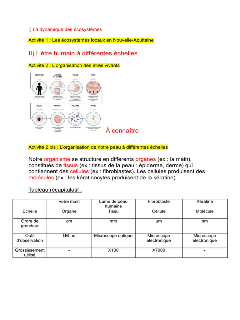 Organisation des êtres vivants en SVT | PDF