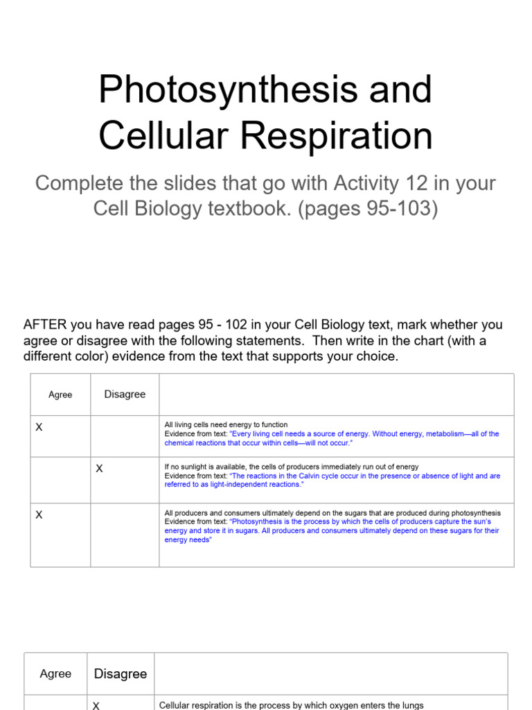 Photosynthesis and Cellular Respiration Guide | PDF | Photosynthesis ...