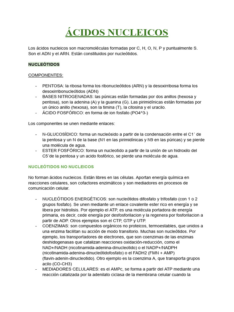 Tema 5 Ácidos Nucleicos | PDF | Rna | Adn