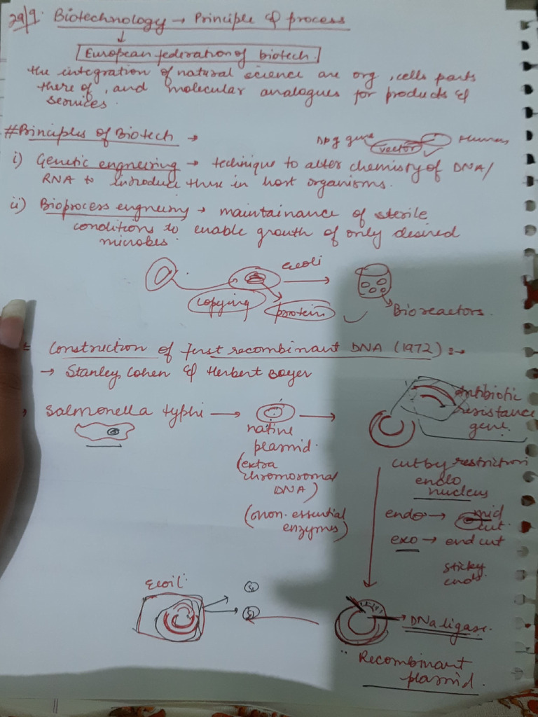 Biotech, Principle and Process | PDF