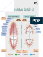 Dientes