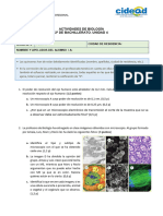 Heteroevaluación 4