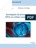 Relatório Dna