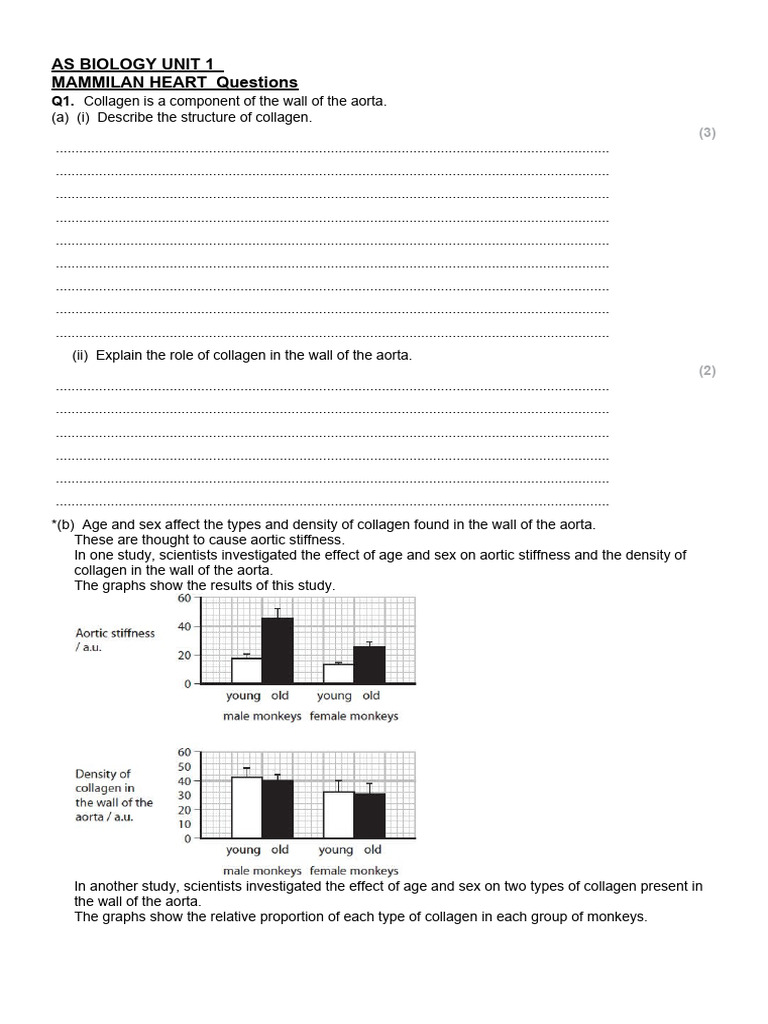 mammilian-heart-pdf-heart-angiology