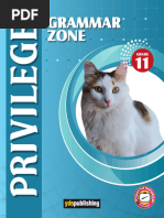 Privilege 11 - Grammar Zone