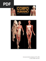 corpo humano relatorio