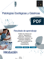 Dieto Patologías Esofágicas y Gástricas