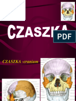 Fizjoterapia Czaszka