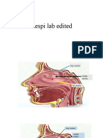 Respi Lab. Ed. RBL 2