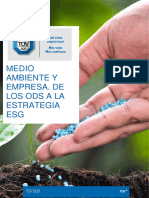 Medio Ambiente Y Empresa. de Losodsala Estrategia ESG