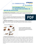 Las Pruebas de La Evolucion y La Seleccion Natural