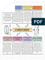 Organizador Grafico Mapa Mental Doodle Multicolor