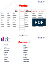 Carpeta Institucional W37