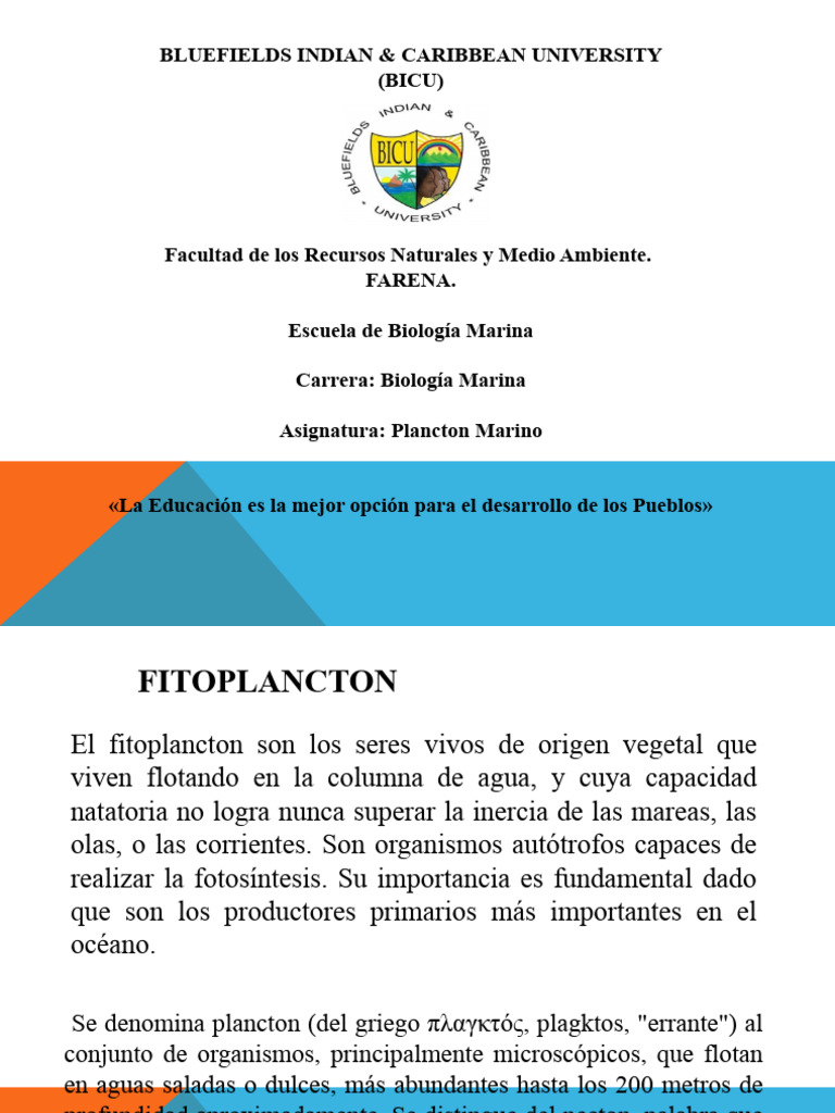 Planctontech Synecho Reef NEW Fitoplancton Vivo Contro I Cianobatteri In Bottiglietta 500ml - Foto 4