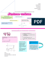 Garduño Erika Infografía