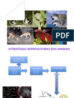 Estratégias Reprodutivas Nos Animais