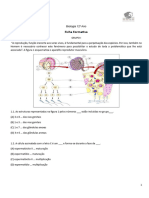 Biologia 12º Ano Ficha Formativa - Reprodução