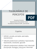 Curs 2 Semiologia Tulb de Perceptie